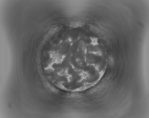 X0000111461393200908241309