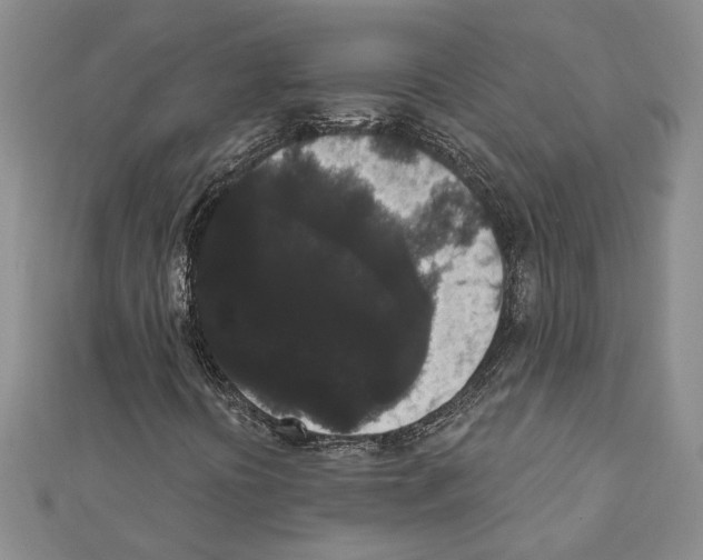 X0000111461394200908241309