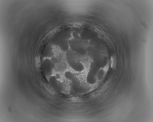 X0000111461395200908241309