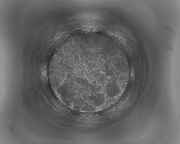 X0000111461396200908241309