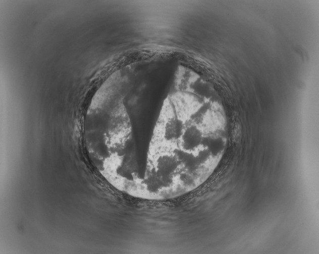 X0000111461397200908241309