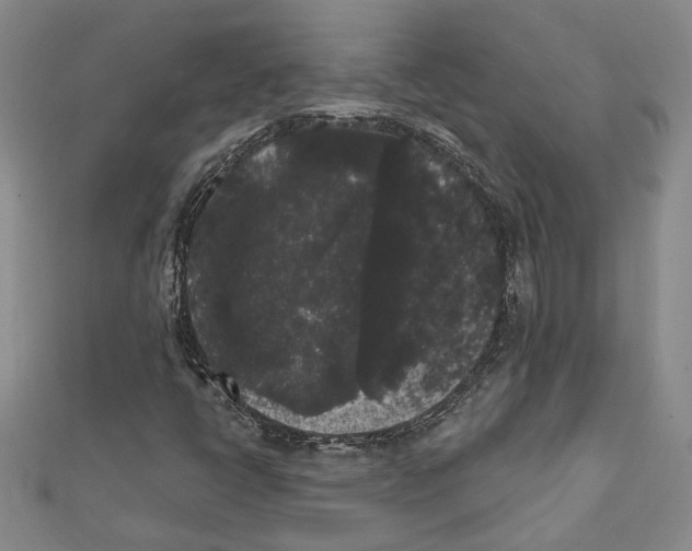 X0000111461398200908241310