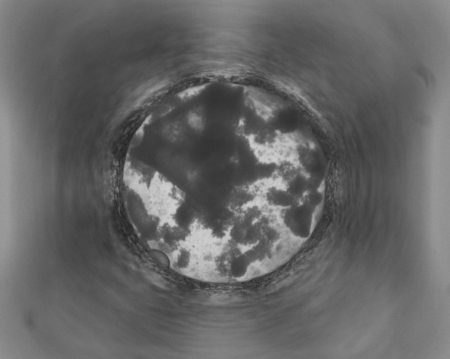 X0000111461399200908241310