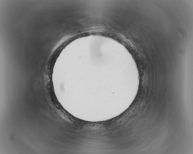 X0000111461400200908241310