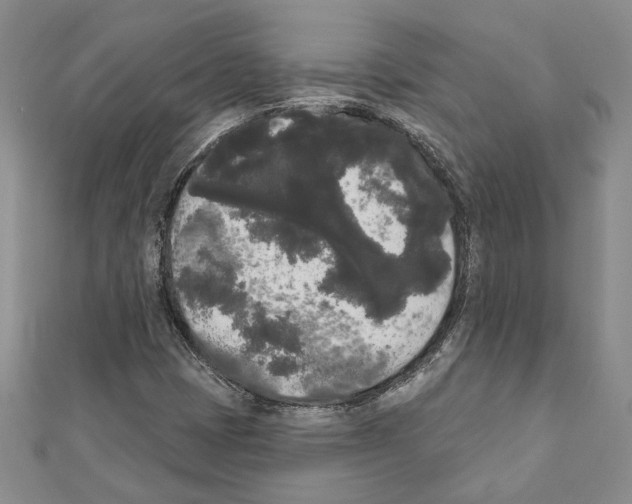 X0000111461401200908241310