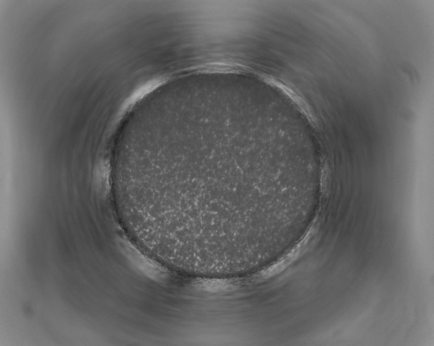 X0000111461402200908241310