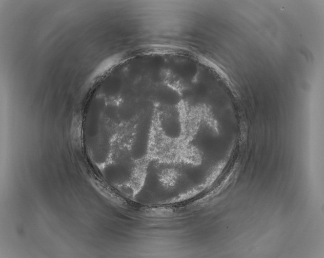 X0000111461403200908241310