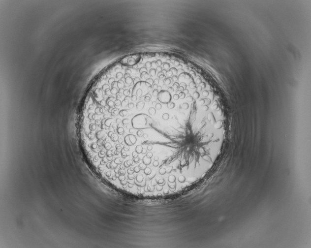 X0000111461404200908241310