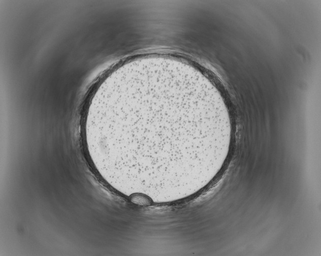 X0000111461406200908241310