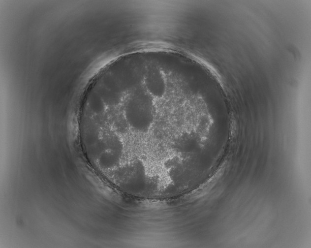 X0000111461407200908241310
