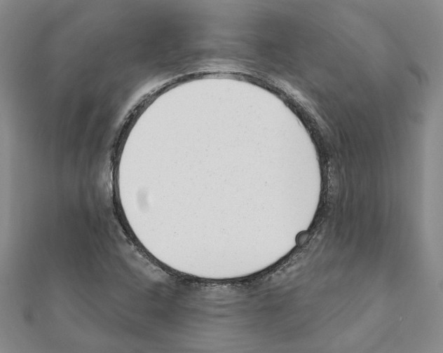 X0000111461408200908241310