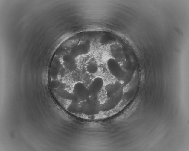 X0000111461409200908241310