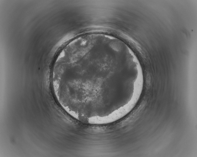 X0000111461411200908241310