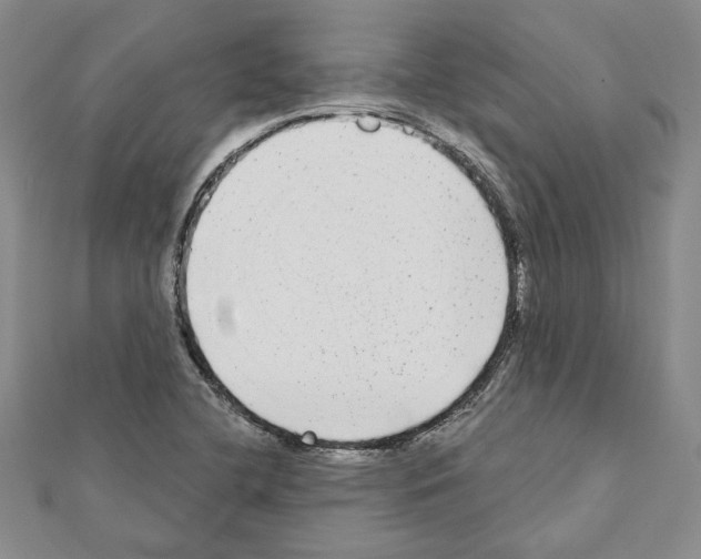X0000111461412200908241310