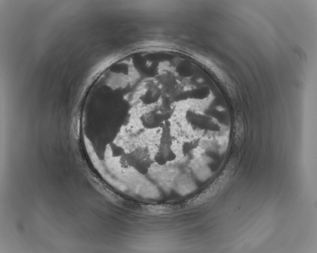 X0000111461413200908241310