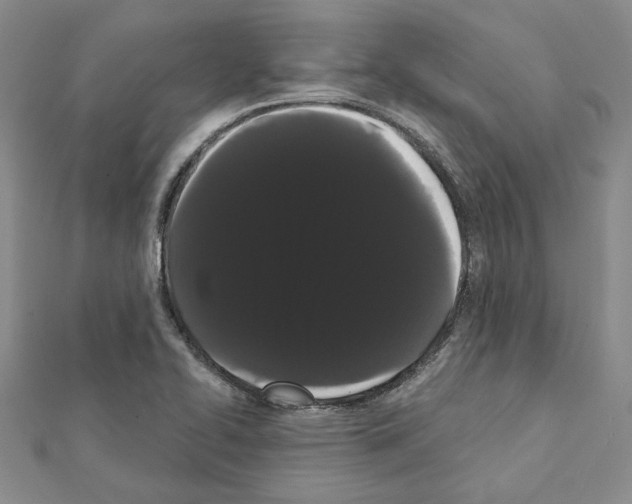 X0000111461414200908241310