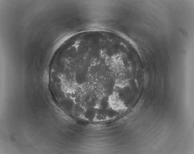 X0000111461415200908241310