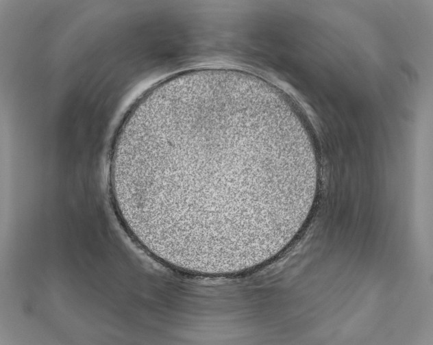 X0000111461416200908241310