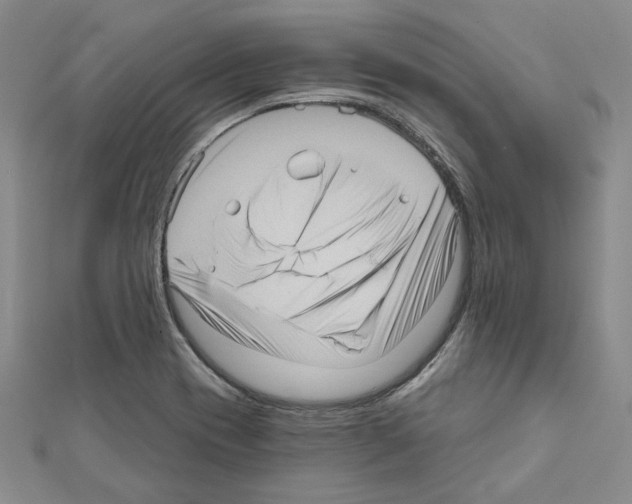 X0000111461417200908241310
