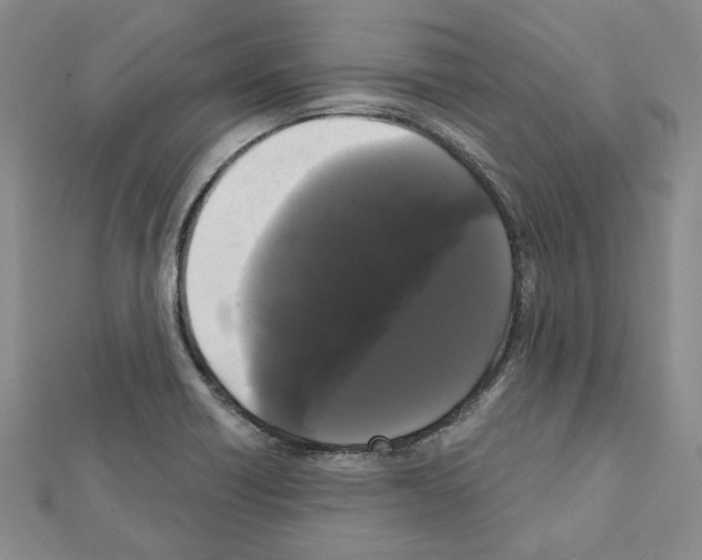 X0000111461418200908241310