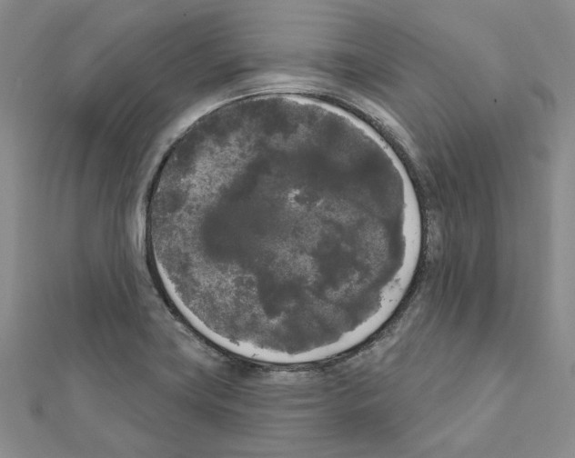 X0000111461419200908241310