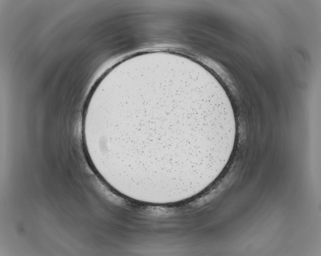 X0000111461420200908241310