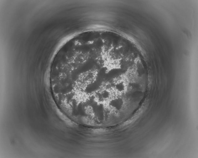 X0000111461421200908241310