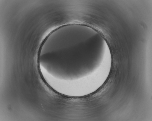 X0000111461422200908241310