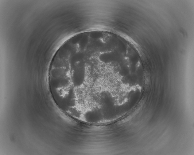 X0000111461423200908241310