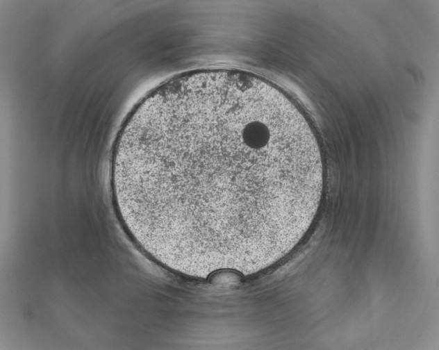 X0000111461424200908241310