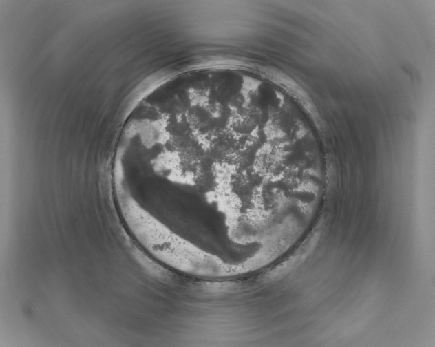 X0000111461425200908241310