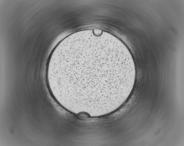 X0000111461426200908241310