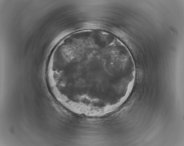 X0000111461427200908241310