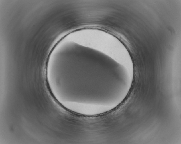 X0000111461428200908241310