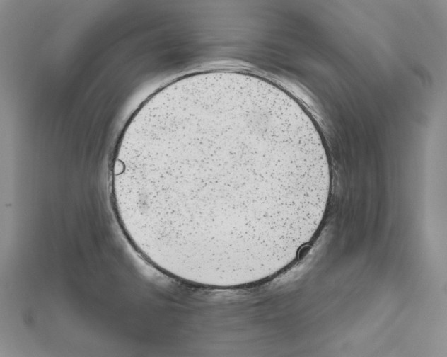 X0000111461430200908241310