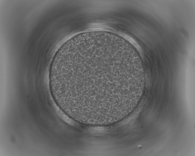 X0000111461431200908241310