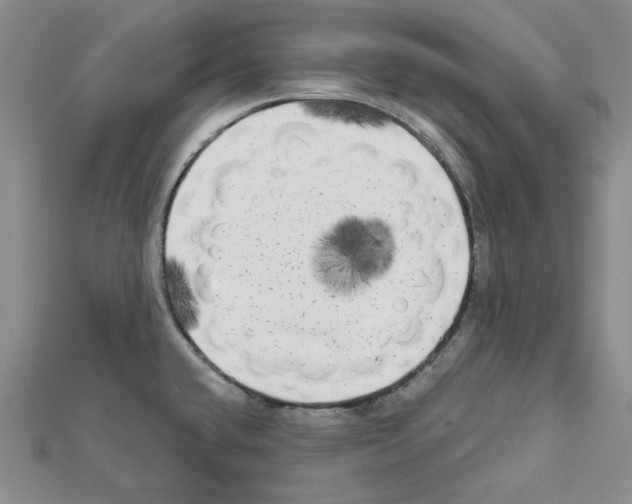X0000111461432200908241310