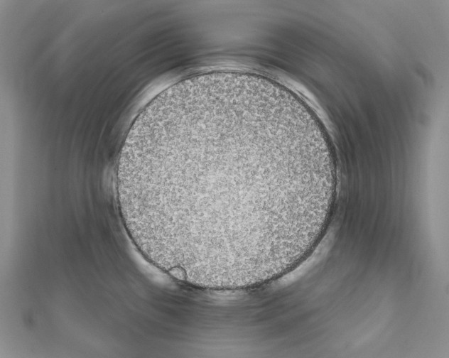 X0000111461433200908241310