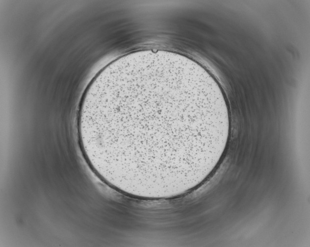 X0000111461434200908241310