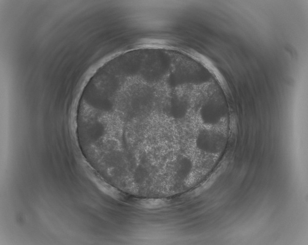 X0000111461435200908241310