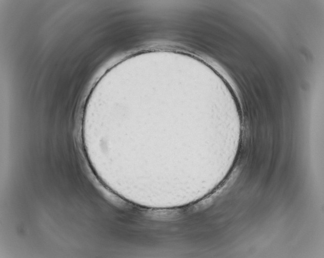 X0000111461437200908241310