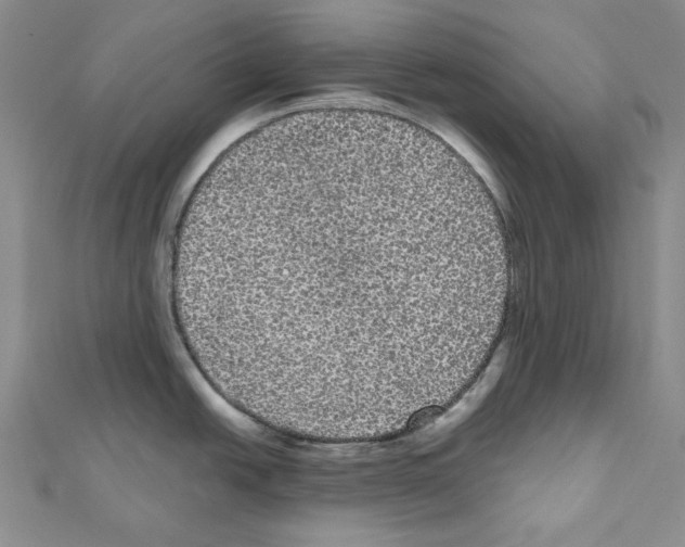 X0000111461438200908241310