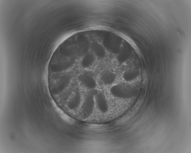 X0000111461439200908241310