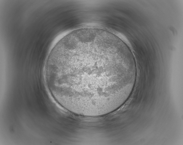 X0000111461440200908241310