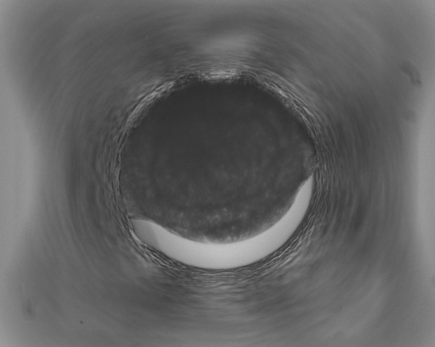 X0000111461441200908241309