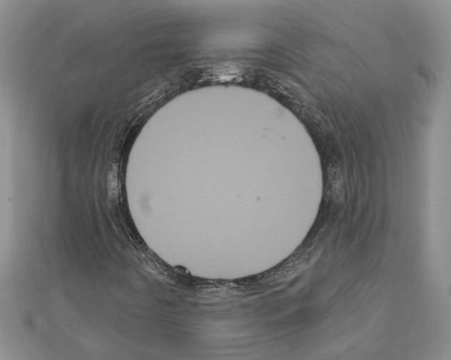 X0000111461442200908241309