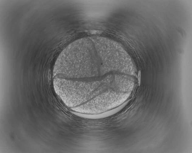 X0000111461443200908241309