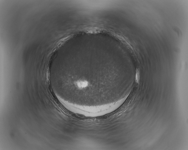 X0000111461444200908241309