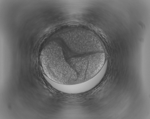X0000111461445200908241309