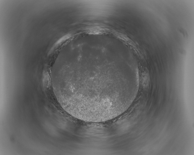X0000111461446200908241309